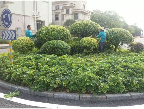 孝感市政绿化资料要做哪些