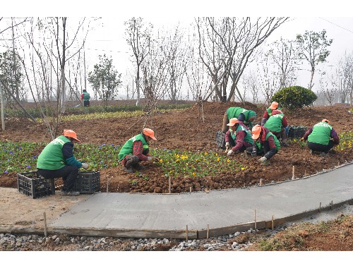 吴江市政绿化种植土单价