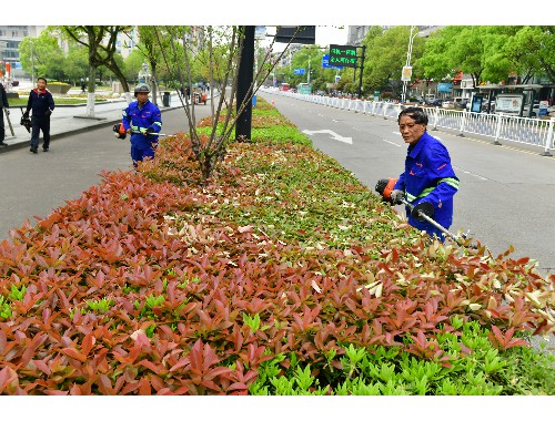 我国城市绿化的政策